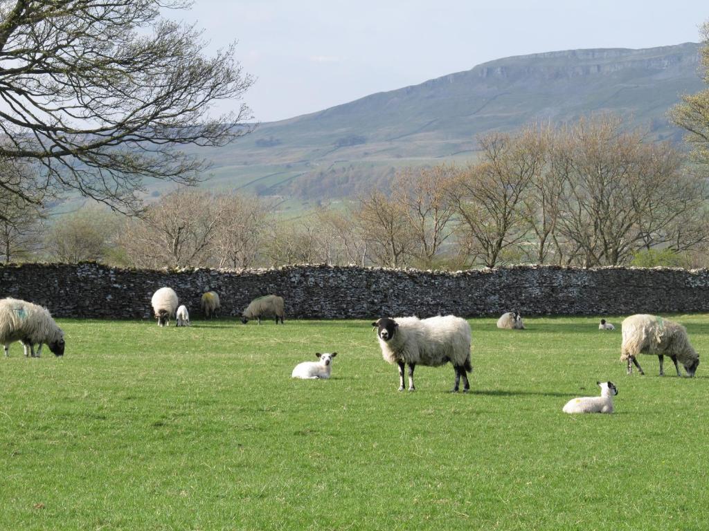 Thornton Lodge Aysgarth Zimmer foto